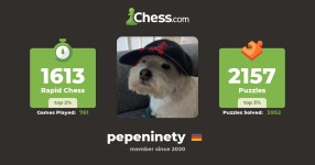 pepeninety - Chess Profile - Chess.com pepeninety - Chess Profile
