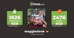 Nicholas Beeson (waggledook) - Chess Profile - Chess.com Nicholas Beeson (waggledook) - Chess Profile