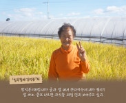 칠곡할매글꼴 이야기 | 칠곡할매글꼴 | 칠곡상징/역사 | 칠곡소개 | 칠곡군 칠곡군 대표포털