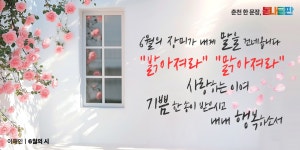 봄내글판 | 춘천시청