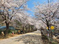 포토갤러리 | 춘천시 북산면 행정복지센터