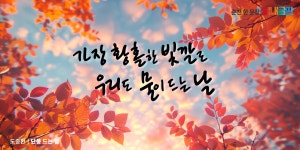 봄내글판 | 춘천시청