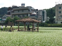 춘천시 남산면 새소식 > 우리마을소식