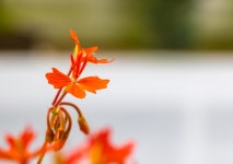 산림환경연구소