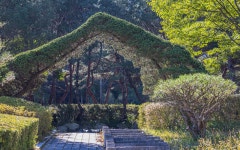 산림환경연구소
