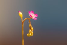 산림환경연구소