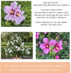 산림환경연구소