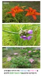 산림환경연구소