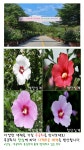 산림환경연구소