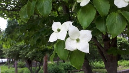 산림환경연구소
