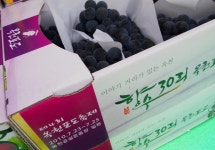 충청북도 제36대 도지사실 