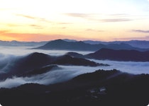 산림환경연구소
