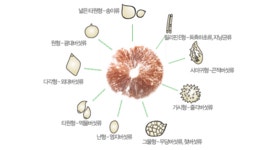 산림환경연구소