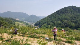 목록 < 오늘의 뉴스 < 미디어충주 < 더 가까이, 충주 < 충주시청
