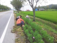 목록 < 오늘의 뉴스 < 미디어충주 < 더 가까이, 충주 < 충주시청