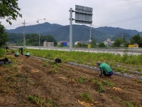 상세 < 오늘의 뉴스 < 미디어충주 < 더 가까이, 충주 < 충주시청