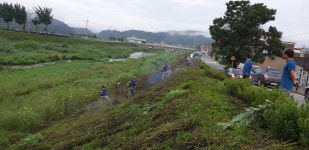 상세 < 오늘의 뉴스 < 미디어충주 < 더 가까이, 충주 < 충주시청