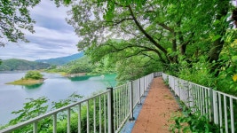 시민사진관 - 충주시 사진과 기록