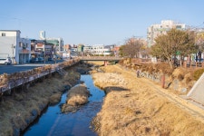 시민사진관 - 충주시 사진과 기록
