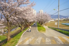 시민사진관 - 충주시 사진과 기록