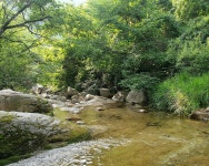 시민사진관 - 충주시 사진과 기록