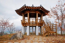 시민사진관 - 충주시 사진과 기록