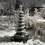 시민사진관 - 충주시 사진과 기록