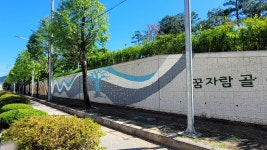 시민사진관 - 충주시 사진과 기록