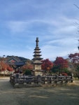 시민사진관 - 충주시 사진과 기록