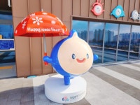 시민사진관 - 충주시 사진과 기록