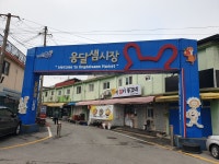 시민사진관 - 충주시 사진과 기록