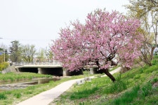 시민사진관 - 충주시 사진과 기록