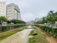 시민사진관 - 충주시 사진과 기록