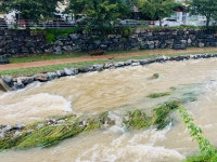 시민사진관 - 충주시 사진과 기록