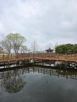시민사진관 - 충주시 사진과 기록