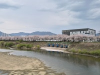 시민사진관 - 충주시 사진과 기록