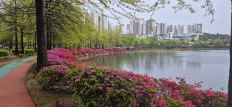 시민사진관 - 충주시 사진과 기록