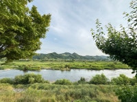 시민사진관 - 충주시 사진과 기록