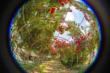 시민사진관 - 충주시 사진과 기록