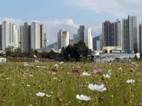 시민사진관 - 충주시 사진과 기록