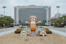 시민사진관 - 충주시 사진과 기록