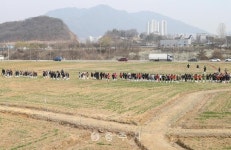 생태건강도시 - 충주시 사진과 기록