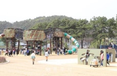 교육/복지 - 충주시 사진과 기록