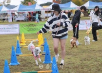 축산 - 충주시 사진과 기록