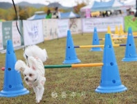 축산 - 충주시 사진과 기록