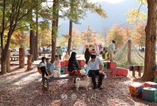 안전행정국 - 충주시 사진과 기록