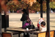 안전행정국 - 충주시 사진과 기록