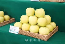 농업정책 - 충주시 사진과 기록