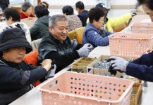 장애인복지 - 충주시 사진과 기록