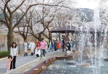 수안보온천제 - 충주시 사진과 기록